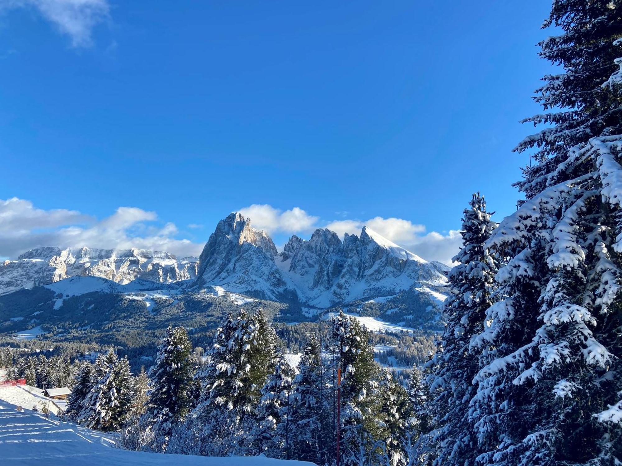 App. Cesa Vedla Ortisei Exteriör bild